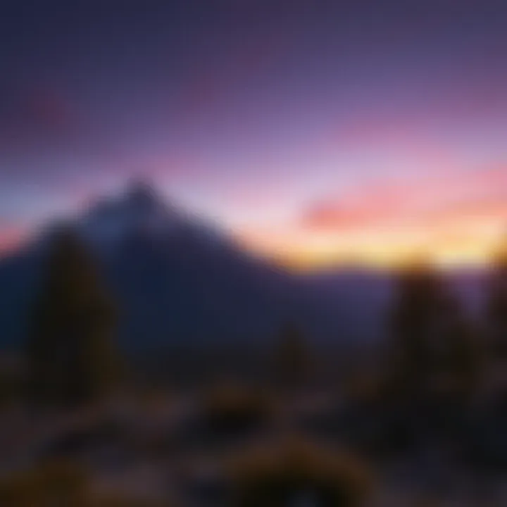 Scenic view of Cradle Mountain surrounded by pristine wilderness and native trees at sunset