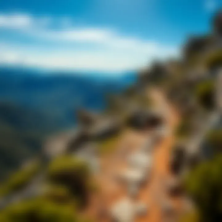 View of rocky Bluff Track trail winding through rugged Tasmanian wilderness with panoramic mountain vistas