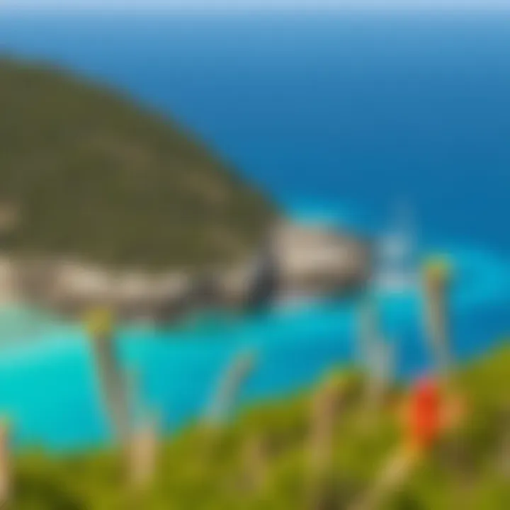 King Billy Island Coastal Landscape with Native Flora Lush green vegetation and rocky shores of King Billy Island surrounded by clear blue water