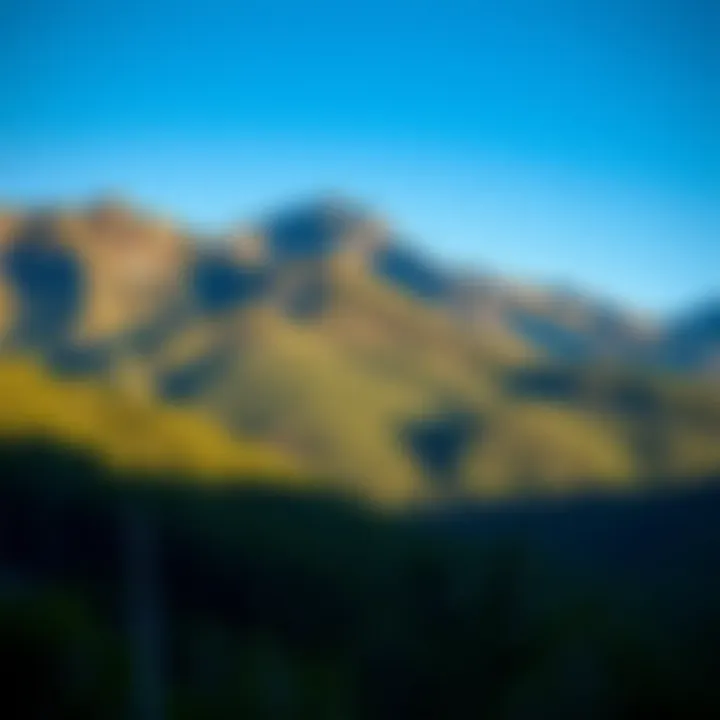 Exploring Tasmania’s King Billy Range