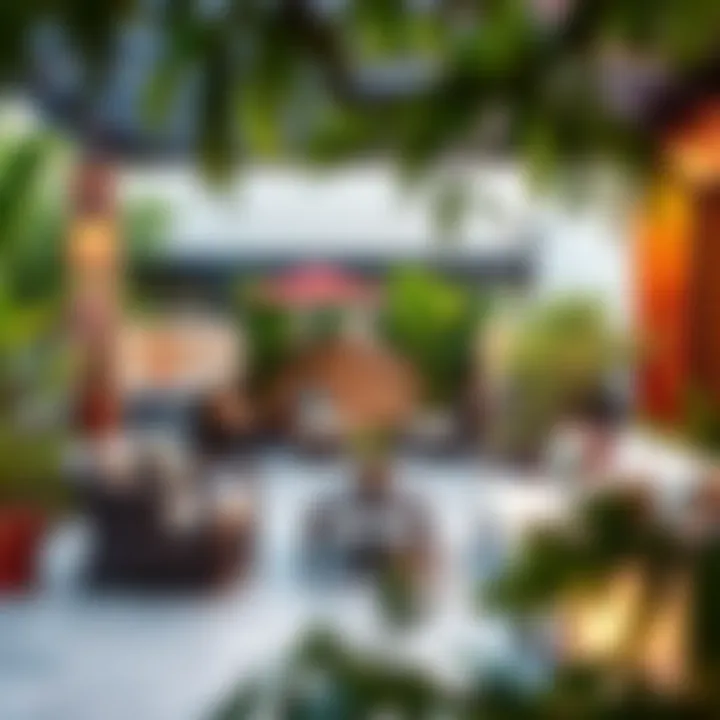 Relaxing outdoor area of King Billy Suites with inviting seating and lush greenery