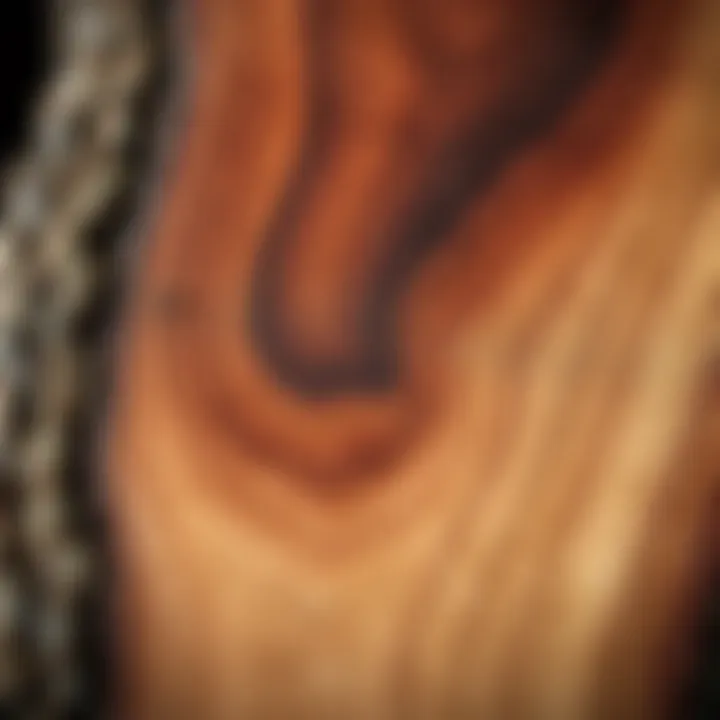 Close-up of King Billy Pine timber showing fine grain texture and rich color