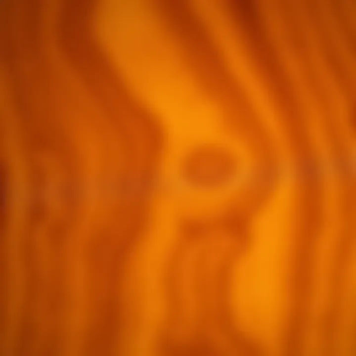 Close-up of King Billy Pine timber showcasing its fine grain and warm amber tones