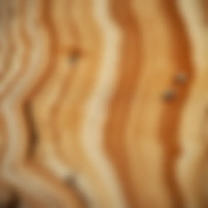 Close-up view of King Billy pine wood showcasing its distinctive grain and warm tones