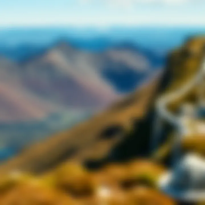 Scenic view of rugged mountain peaks and a walking trail winding through alpine vegetation at Cradle Mountain