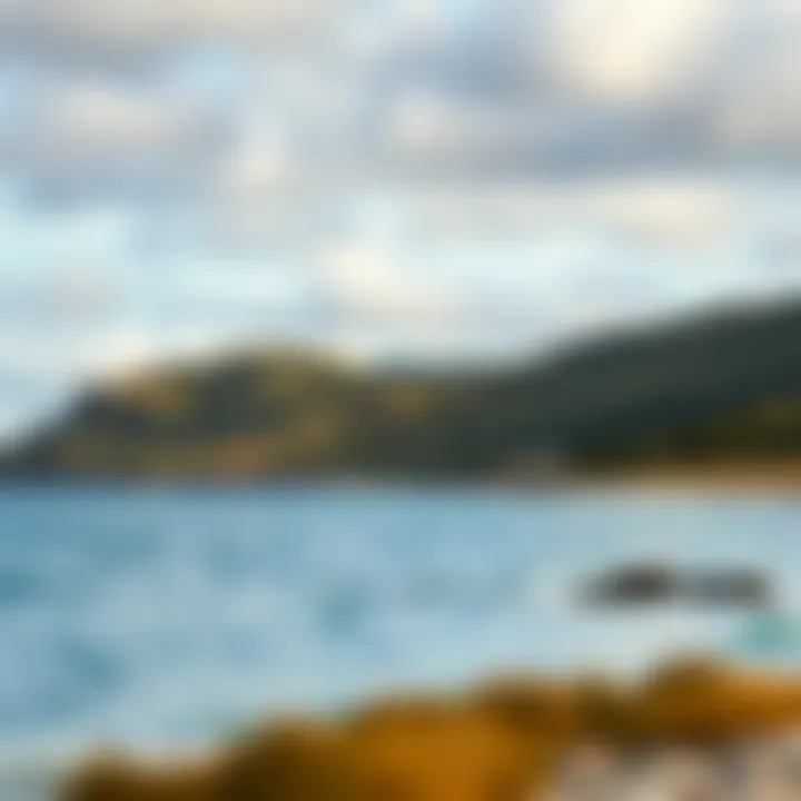 Historic Tasmanian coastal landscape representing the early contact period between Indigenous communities and European settlers